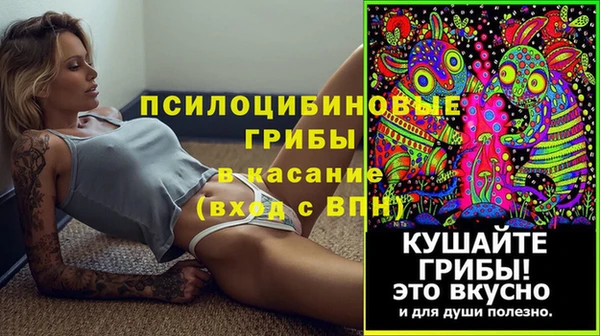 эйфоретик Лихославль