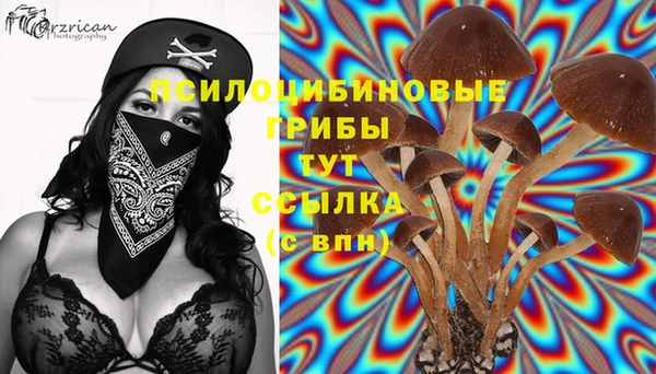 таблы Лиски