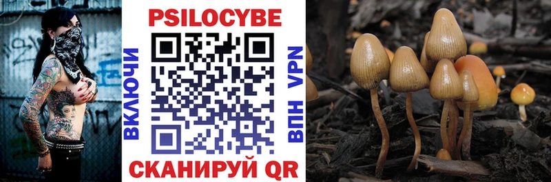 Галлюциногенные грибы MAGIC MUSHROOMS  Купить  Очёр 